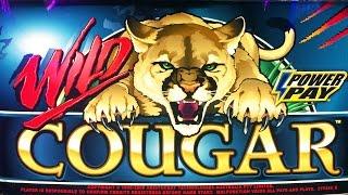 Wild cougar slot machine online shopping